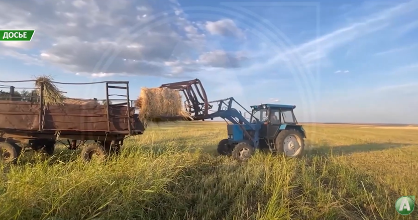 В Костанайской области продолжается сенокос