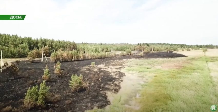 Лесных пожаров в этом году в Костанайской области зарегистрировано в несколько раз меньше, чем в году прошлом