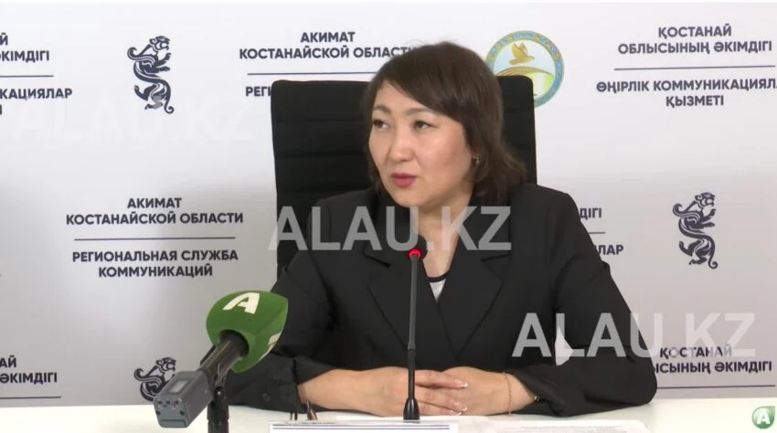 Налоговое законодательство в Казахстане продолжает вызывать вопросы у предпринимателей